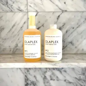 Salon Intro Kit