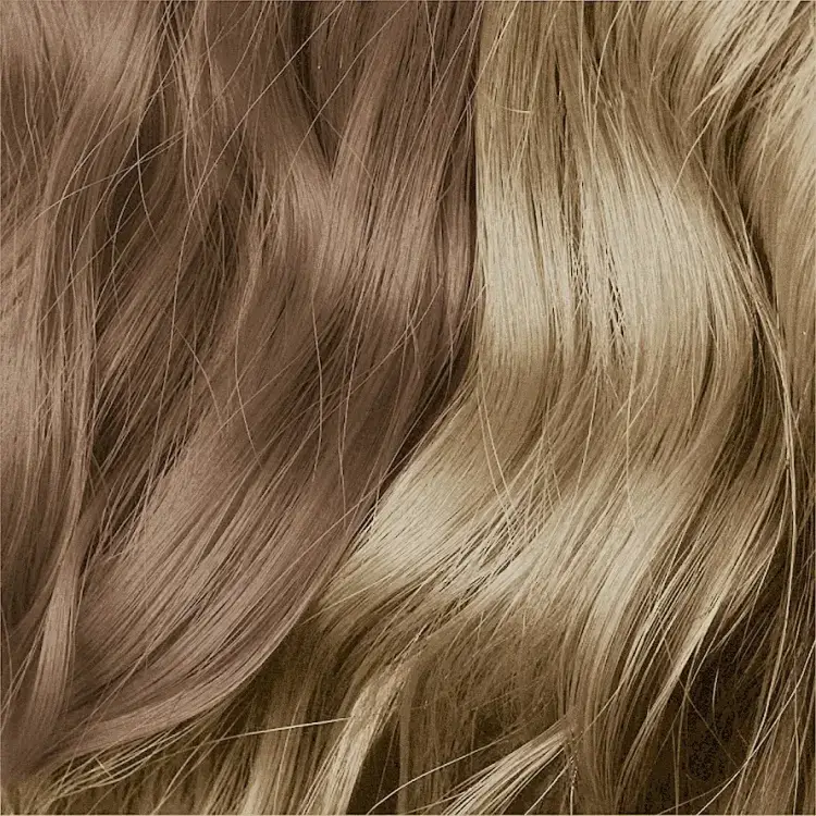 INDOLA Color Style Mousse Beige Blonde 200ml